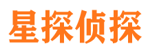 辰溪侦探公司